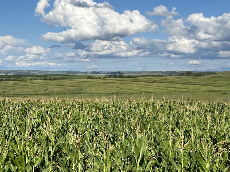 0 Bedroom Property for Sale in Bethlehem Rural Free State